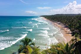 Praia paradisíaca na bahia